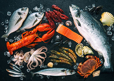 Рыба моей мечты: как заработать на продаже и доставке морепродуктов